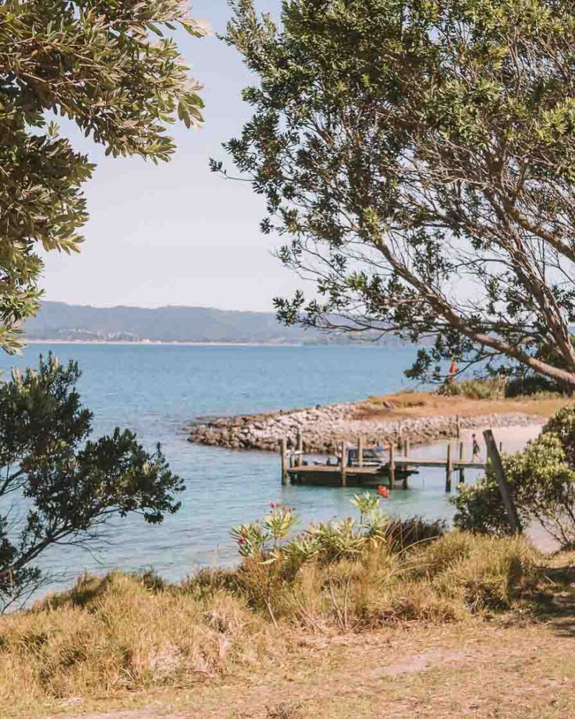 glamping coromandel nz