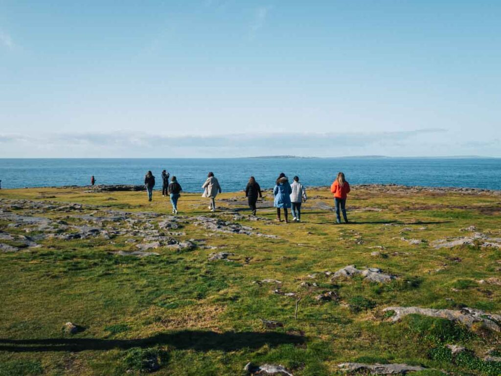 Baby cliffs of moher