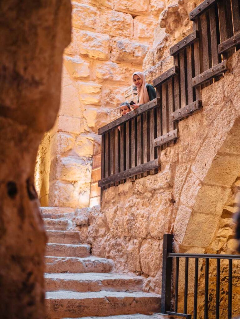 Ajloun Castle day tour