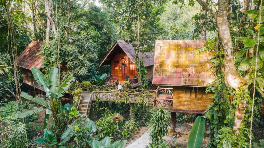 Jungle huts Khao Sok