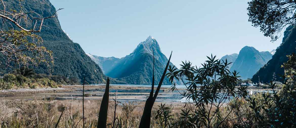 Stay at milford sound lodge best things to do in milford sound take a boat cruise 11 Epic Things to Do in Milford Sound Finding Alexx travel blog