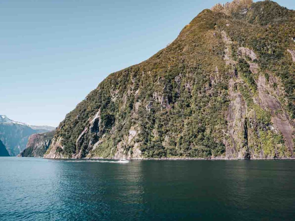 things to do in milford sound