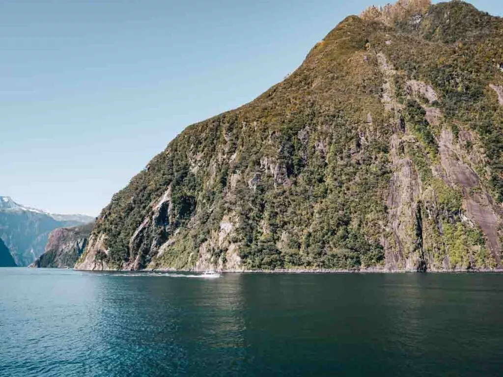 milford sound travel blog