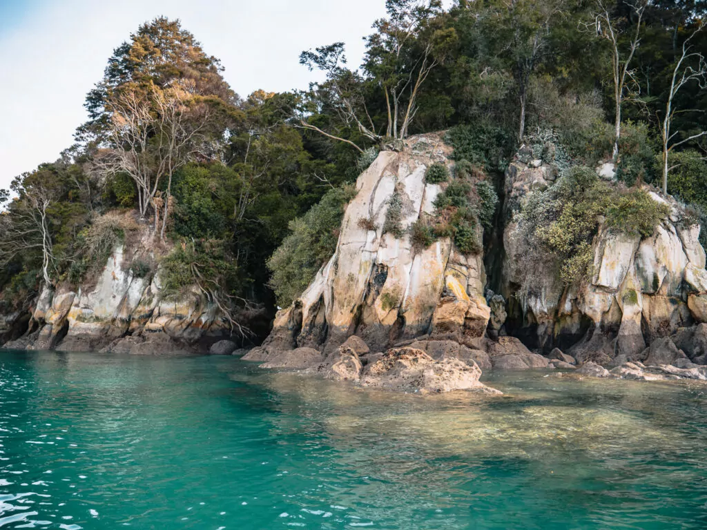 White cliffs topped with native bush rise from turquoise water along the coastline of Abel Tasman National Park
