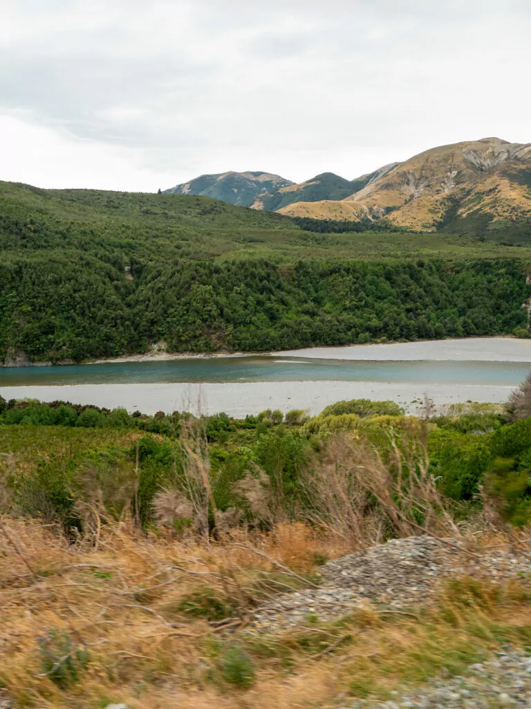 Lush green forested river valley and mountains along the TranzAlpine train journey over Arthur's Pass