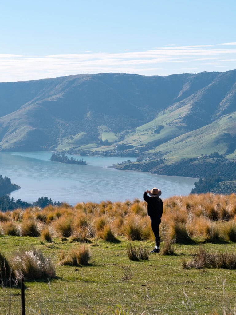 A person stands in tall golden tussock grass, looking out over the blue waters and rolling green hills of Banks Peninsula near Christchurch on a clear day.