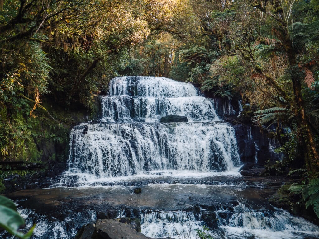 Multi-tiered Purakaunui Falls cascading over dark rock ledges surrounded by native bush in the Catlins