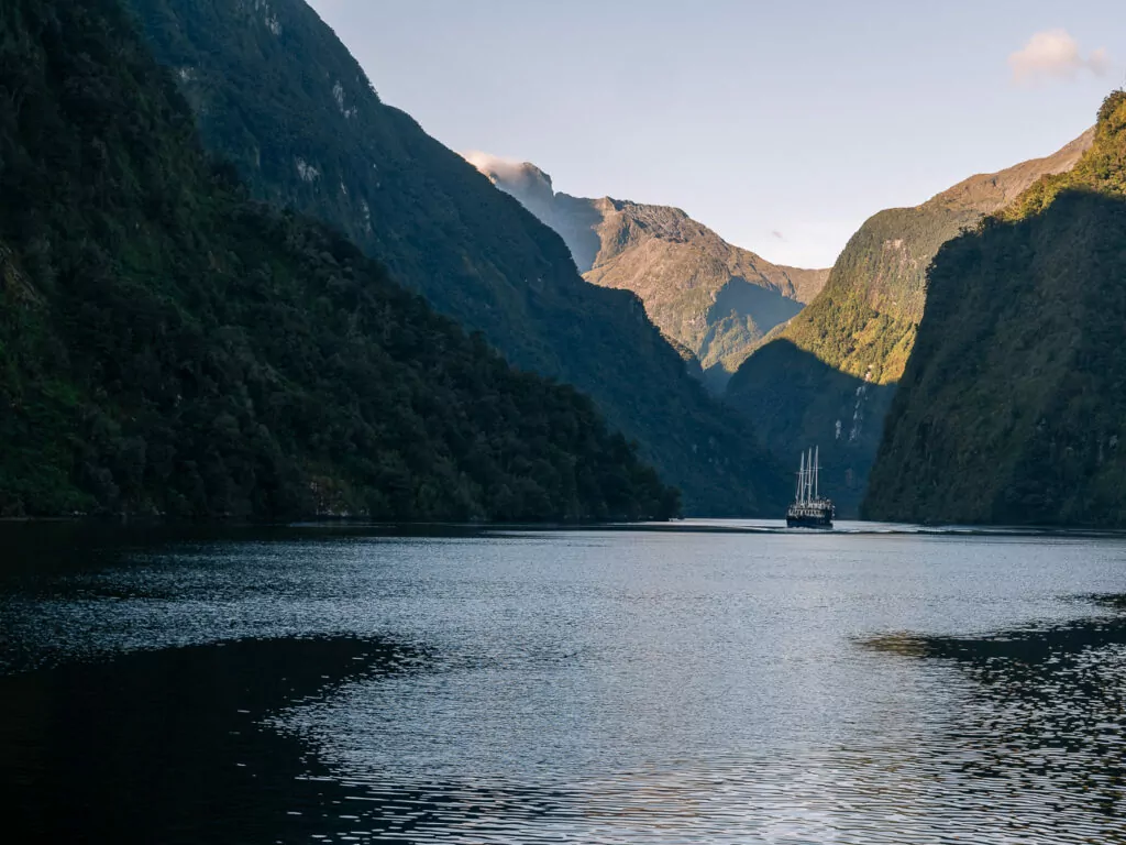 View from the deck of a cruise boat as it glides through the still waters of Doubtful Sound, with forested fjord walls rising on either side