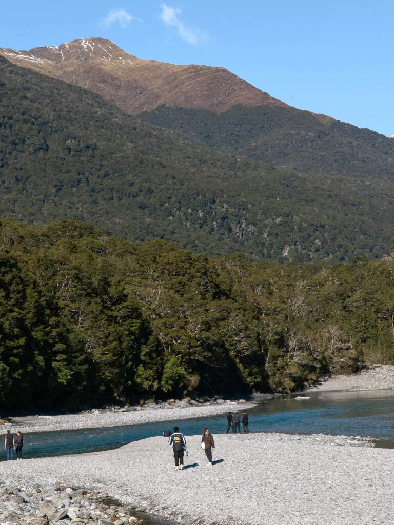 A group of hikers walk along a wide, stony riverbank at the Blue Pools near Haast Pass, with forest and towering mountains behind them