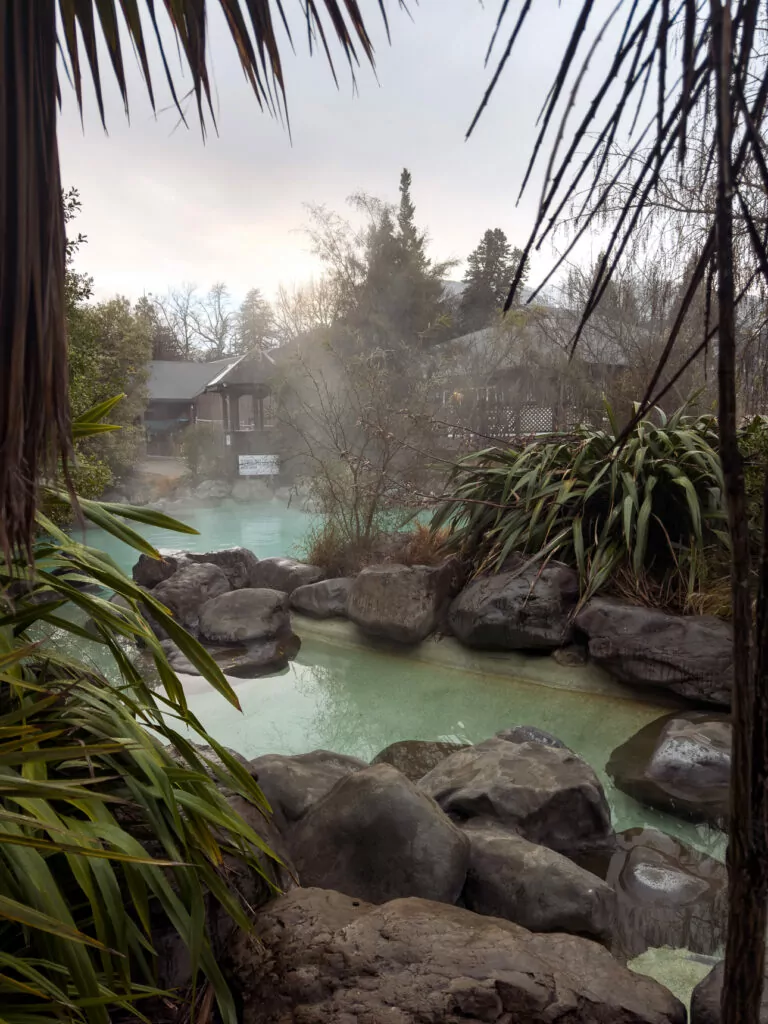 A misty geothermal hot pool at Hanmer Springs, framed by native plants and large boulders, with warm steam rising into the air