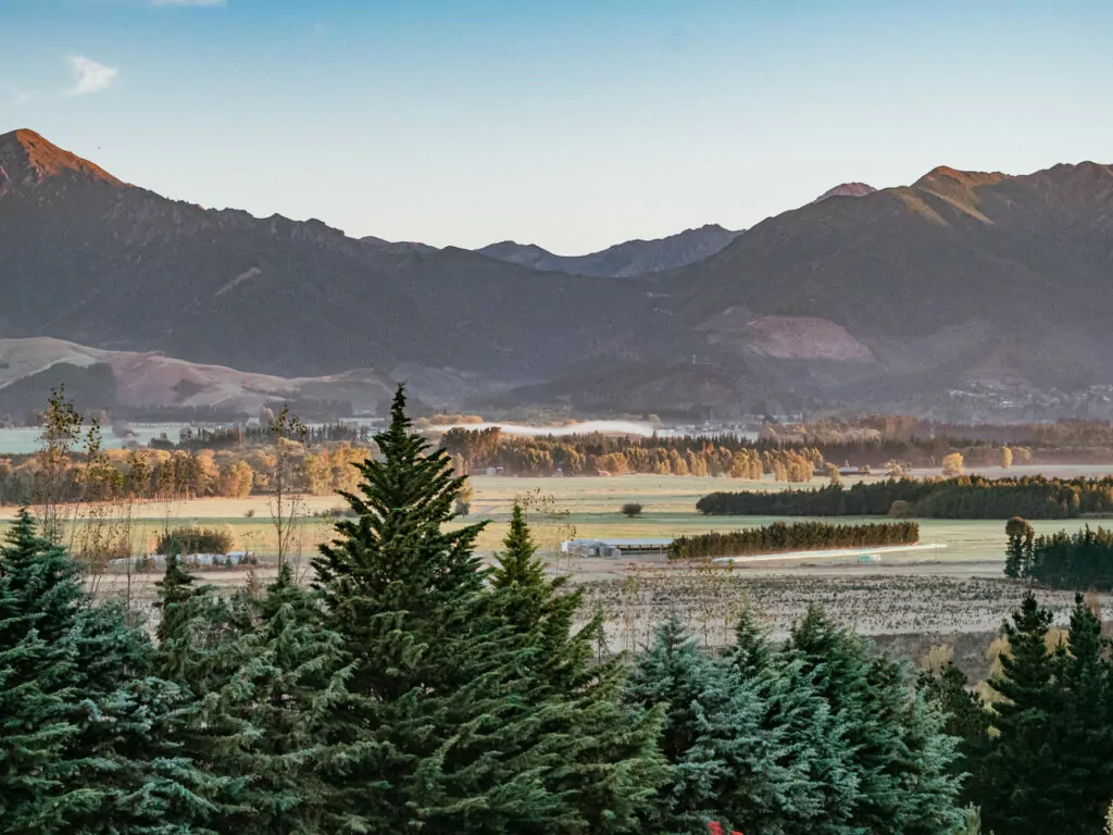 A patchwork of frosty fields and pine trees sits beneath the foothills of the Southern Alps in Hanmer Springs during early morning light