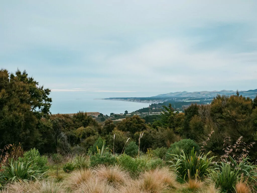 Overlooking a rugged stretch of the Canterbury coastline with native flax and grasses in the foreground and the Pacific Ocean in the distance under a moody sky from a PurePod glamping spot in the Hurunui coastal hills