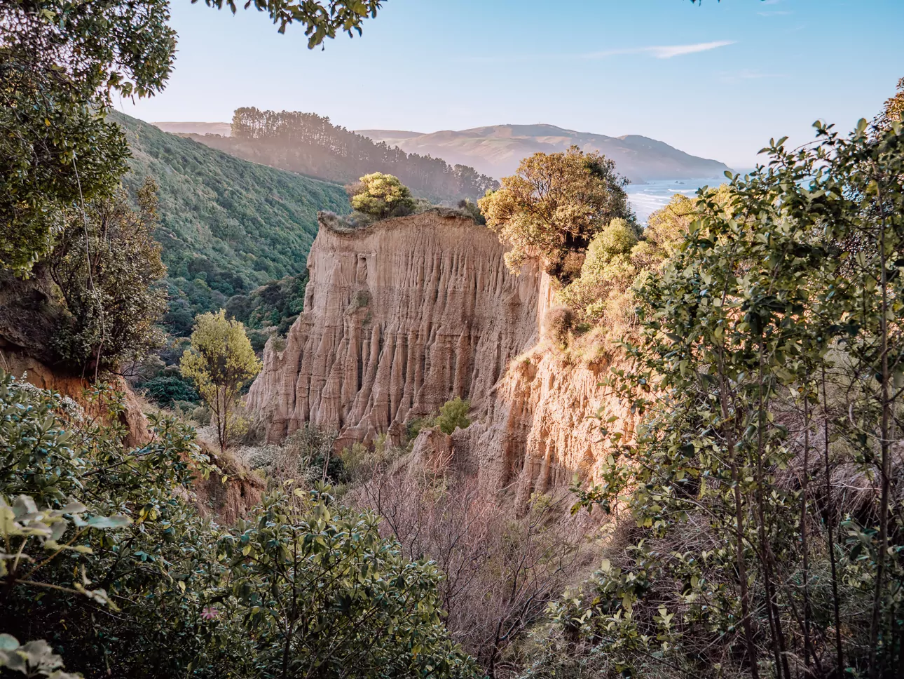 The dramatic eroded clay pinnacles and columns of Cathedral Cliffs with native vegetation and forested hills in the background