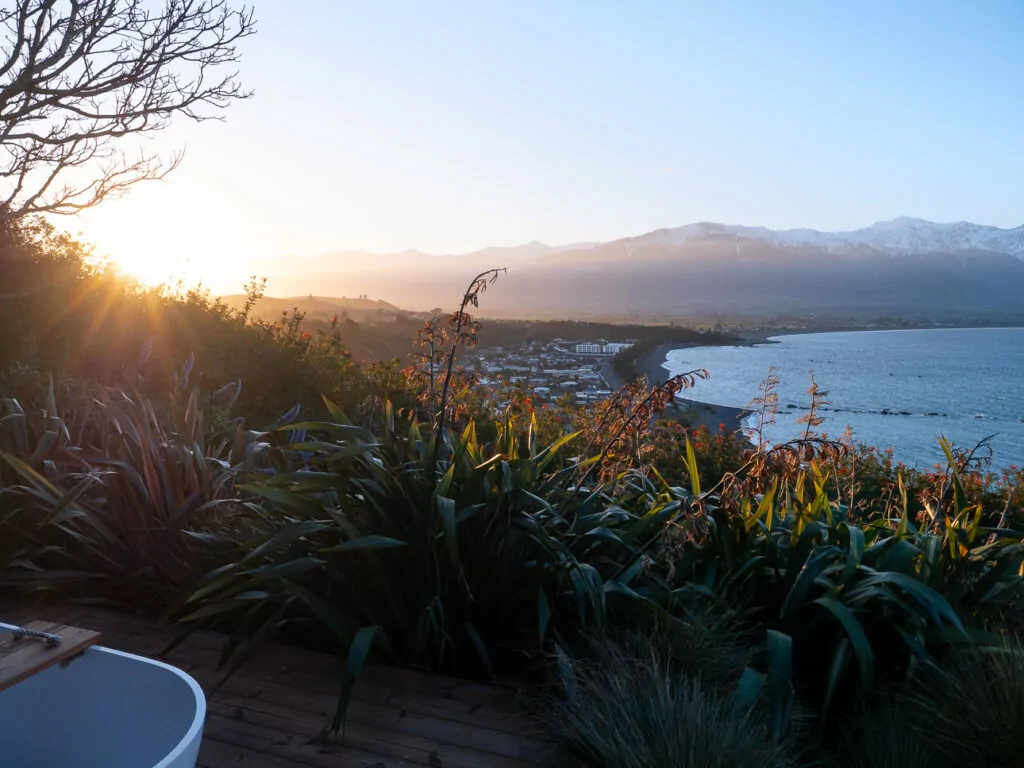 Sunrise over the Kaikōura coast as seen from a hillside deck, with native plants in the foreground and soft light glowing across the bay and mountains