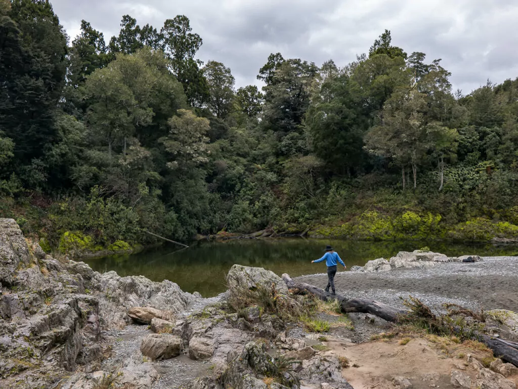 A traveller navigates rocky terrain beside a calm river pool, surrounded by dense native forest in Pelorus Bridge Scenic Reserve, Marlborough