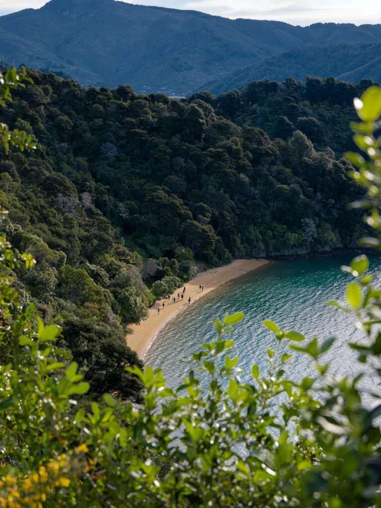 A secluded golden beach curves along turquoise water in Marlborough Sounds, framed by lush greenery and distant hills