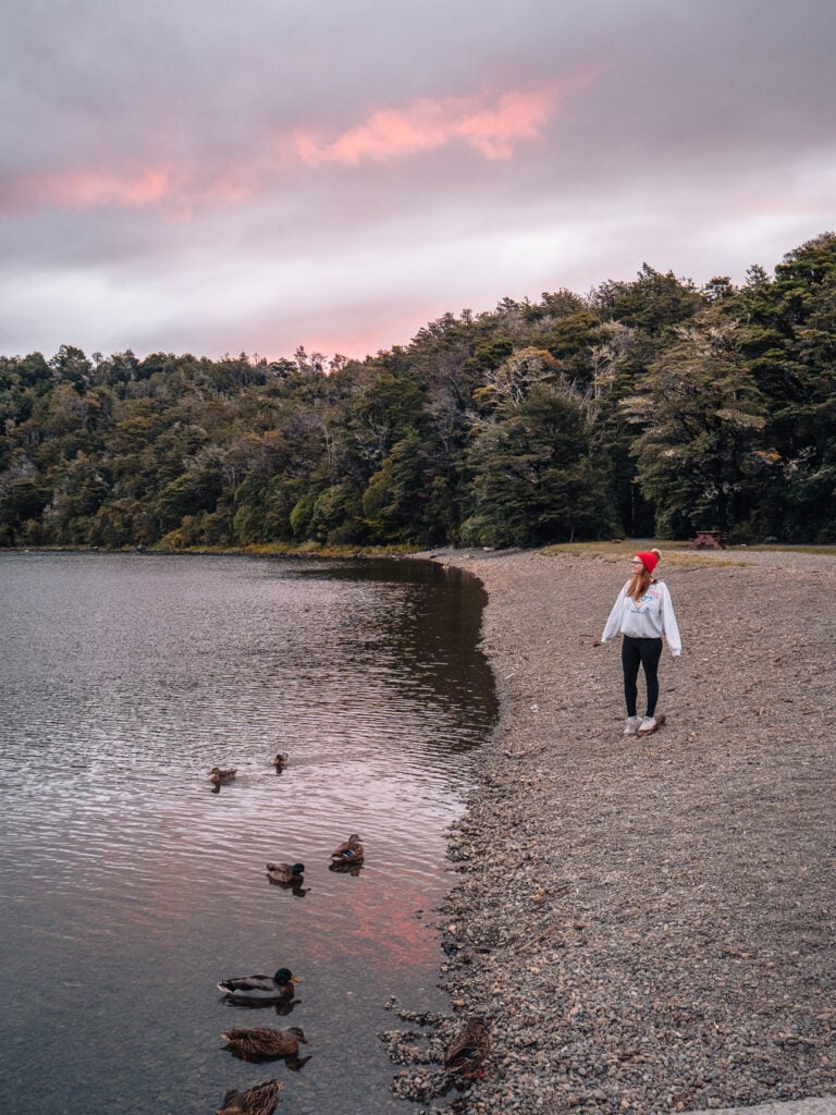 A woman walks along the pebbled shore of Lake Rotoiti at sunset, with ducks paddling in the calm water and forest in the background