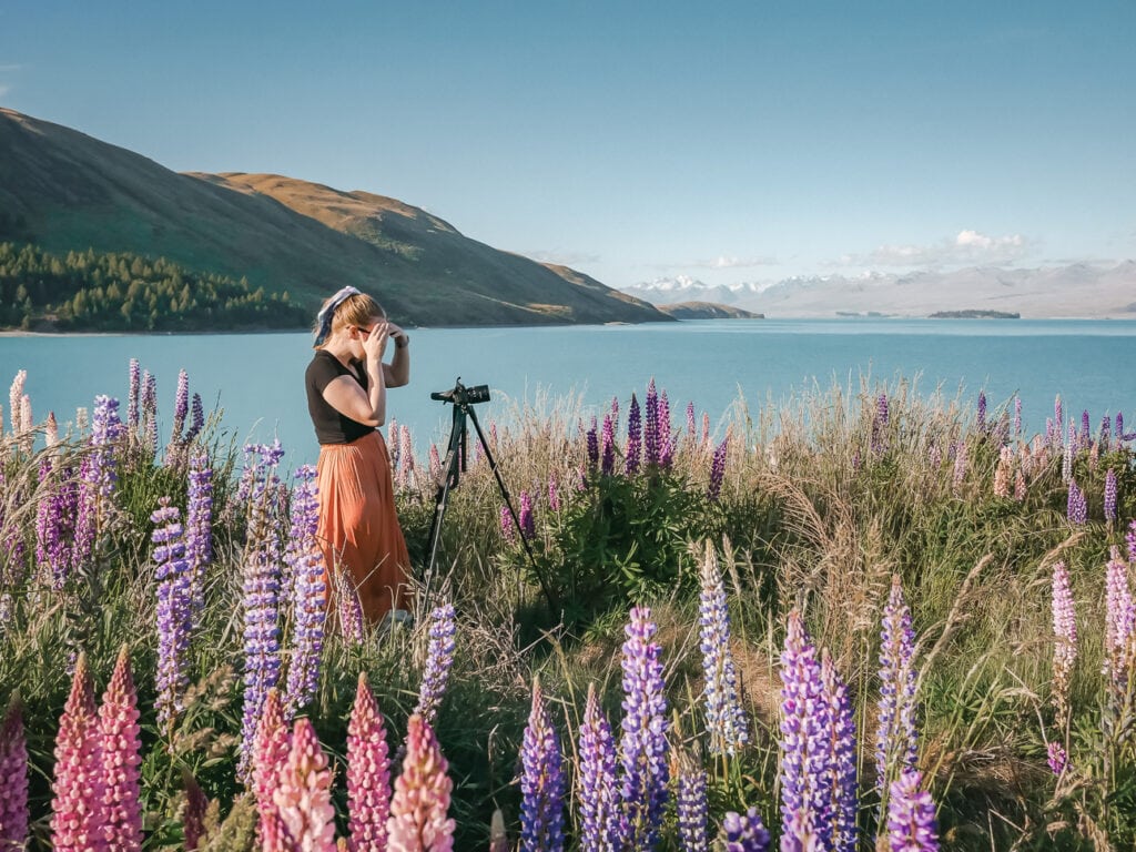 Alexx setting up a tripod among tall lupins on the Lake Tekapo lakefront