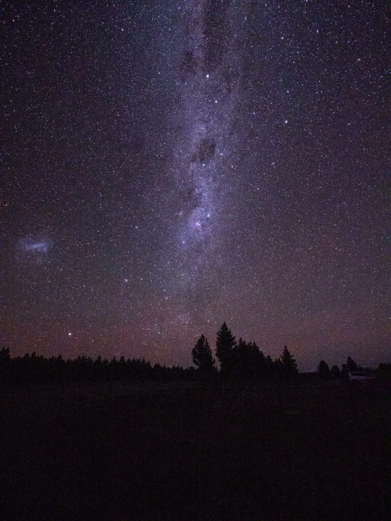 The Milky Way arching above tree silhouettes in the Aoraki Mackenzie Dark Sky Reserve at Lake Tekapo