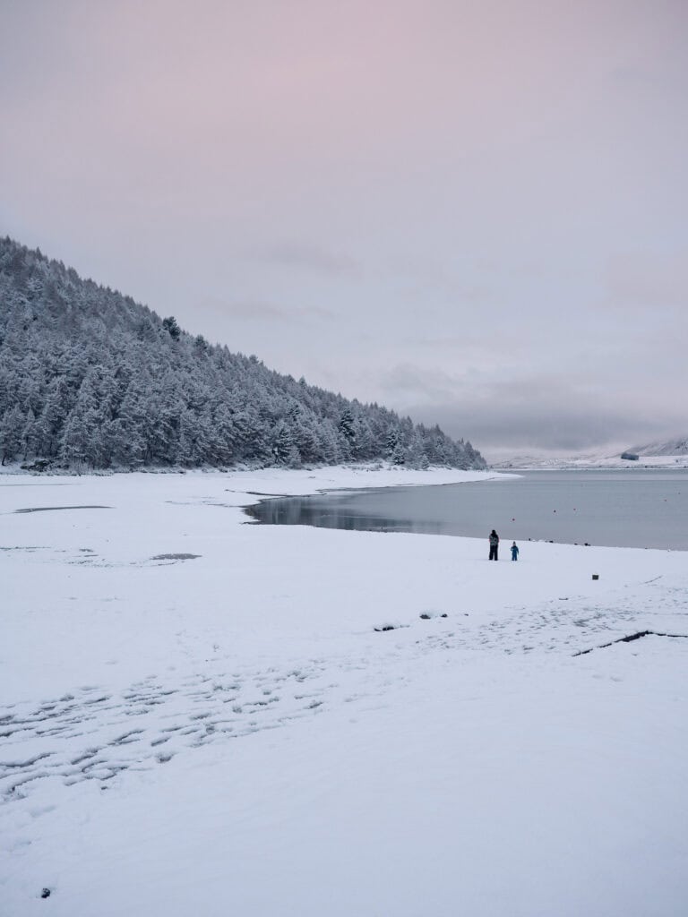 Snowy shoreline of Lake Tekapo in winter with pine trees and mountains behind