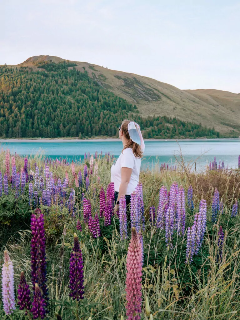 Woman standing among vibrant purple and pink lupins beside the turquoise waters of Lake Tekapo with mountains in the background