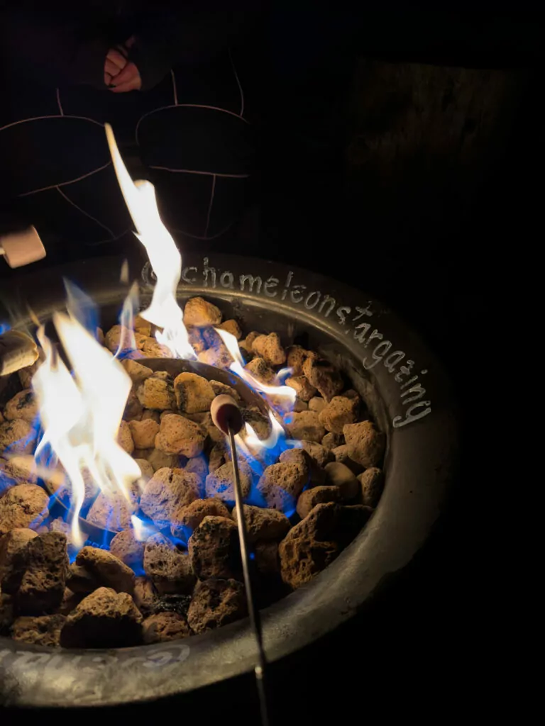 Marshmallows toasting over an open fire pit on the Chameleon Stargazing tour, one of the top things to do in Tekapo after dark