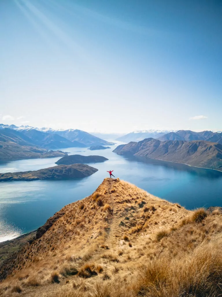 A traveller poses on the narrow, golden ridge of Coromandel Peak just below Roys Peak, overlooking Lake Wānaka and snow-capped mountains under a bright blue sky
