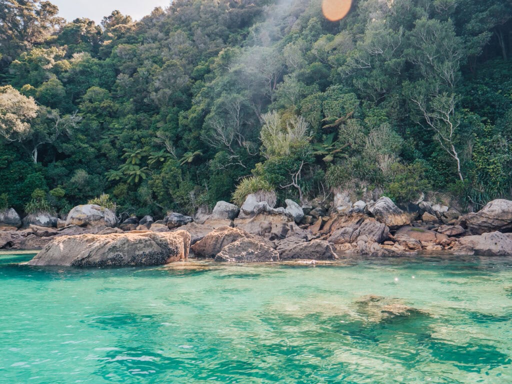 Aerial view of vibrant green water, rocky coastline, and dense native bush seen during an Abel Tasman eco boat tour