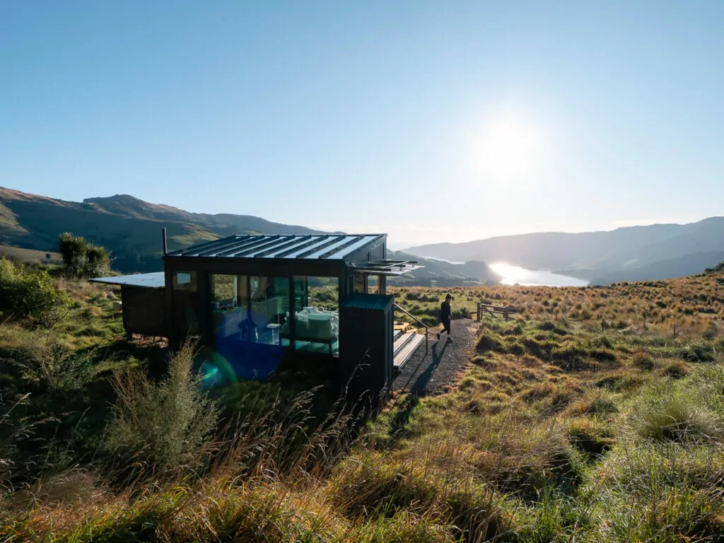 Glass eco-cabin surrounded by golden tussock grass at Port Levy PurePod with sunlight casting long shadows over rolling hills