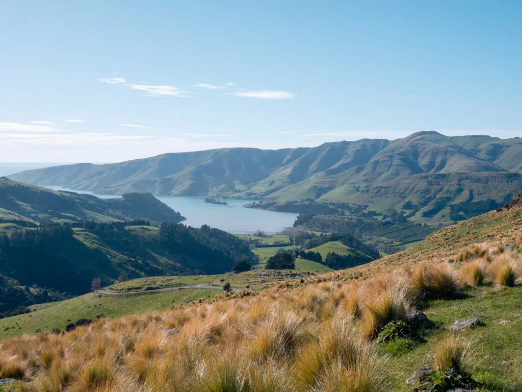 View over the rolling green hills and calm waters of Port Levy seen from Pōhue PurePod on Banks Peninsula