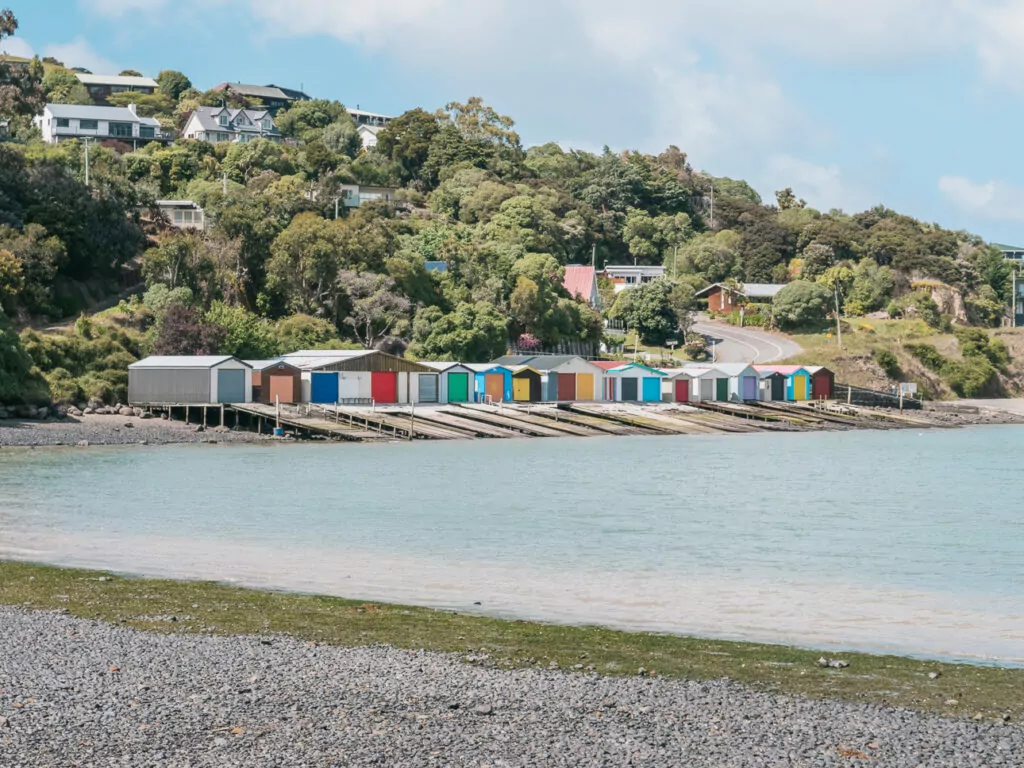 Colourful boat sheds lining the calm bay at Banks Peninsula with native bush behind and gentle waves lapping the shore