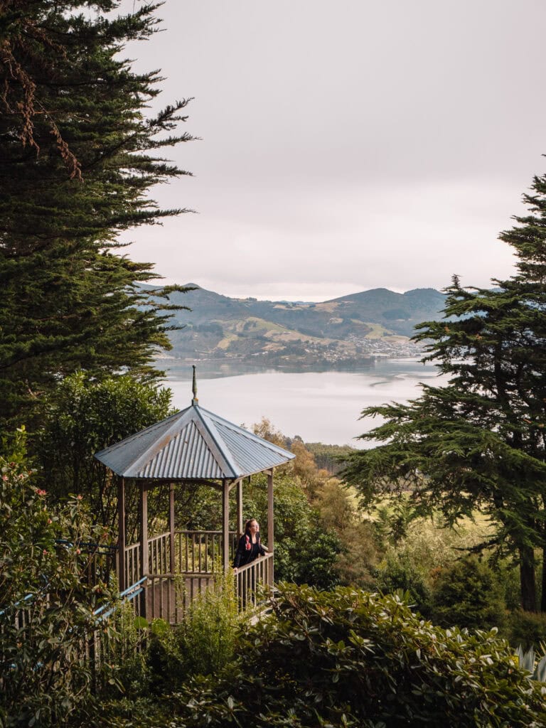 Round turret and lookout at Larnach Castle peeking through tall trees with Otago Peninsula views in the background