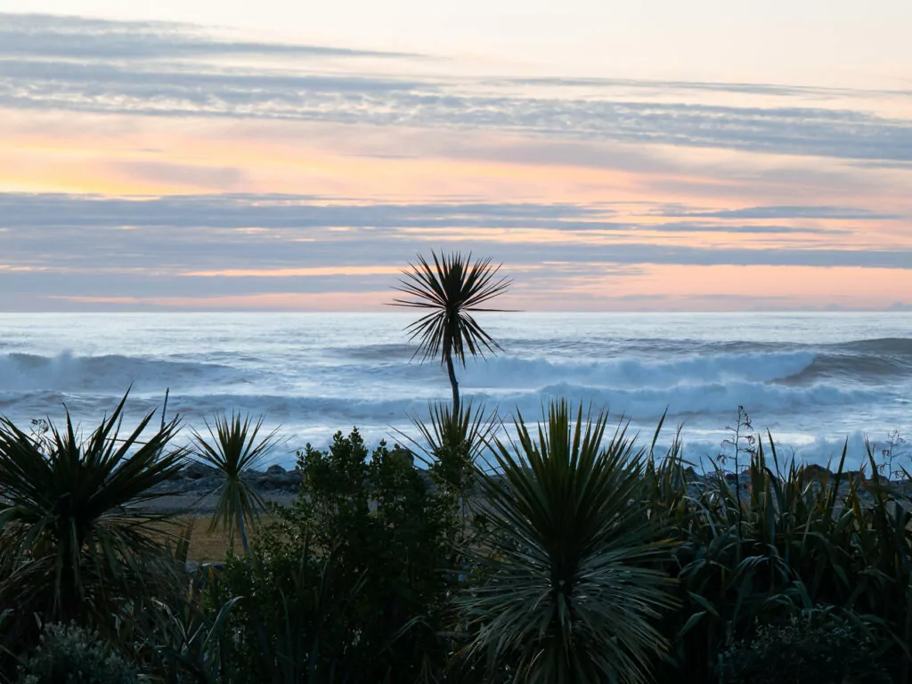 Palm trees silhouetted against a pastel-hued sunset over the Tasman Sea in Hokitika