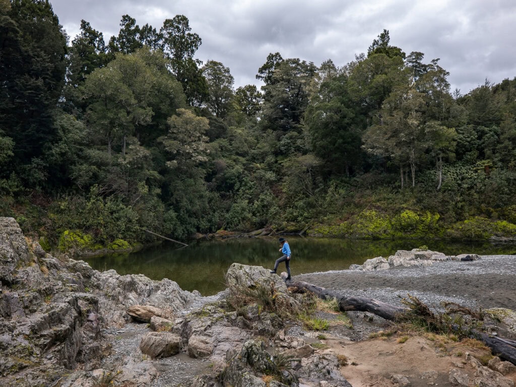 Person walking across rocks beside the river in the forested Pelorus Bridge Scenic Reserve