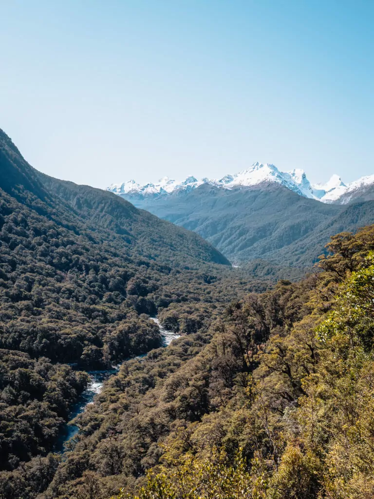 Lush green forest and braided river winding through Hollyford Valley beneath snow-covered peaks on the Milford Road