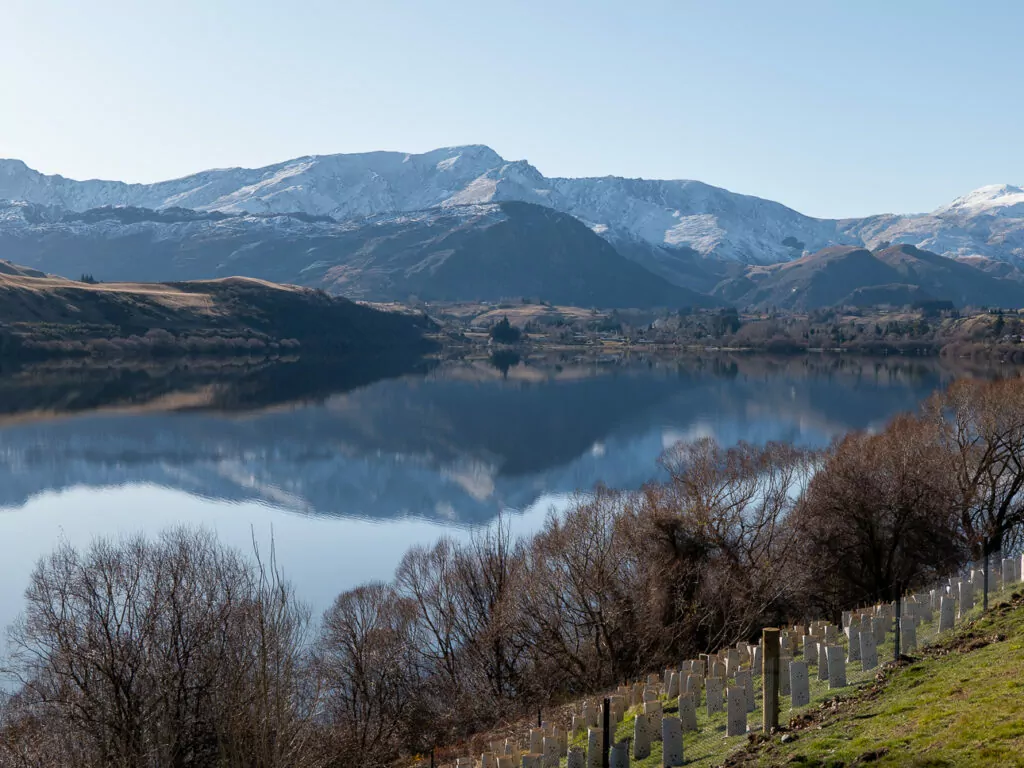 Still water of Lake Hayes reflecting frosty trees and mountain slopes during a clear winter day