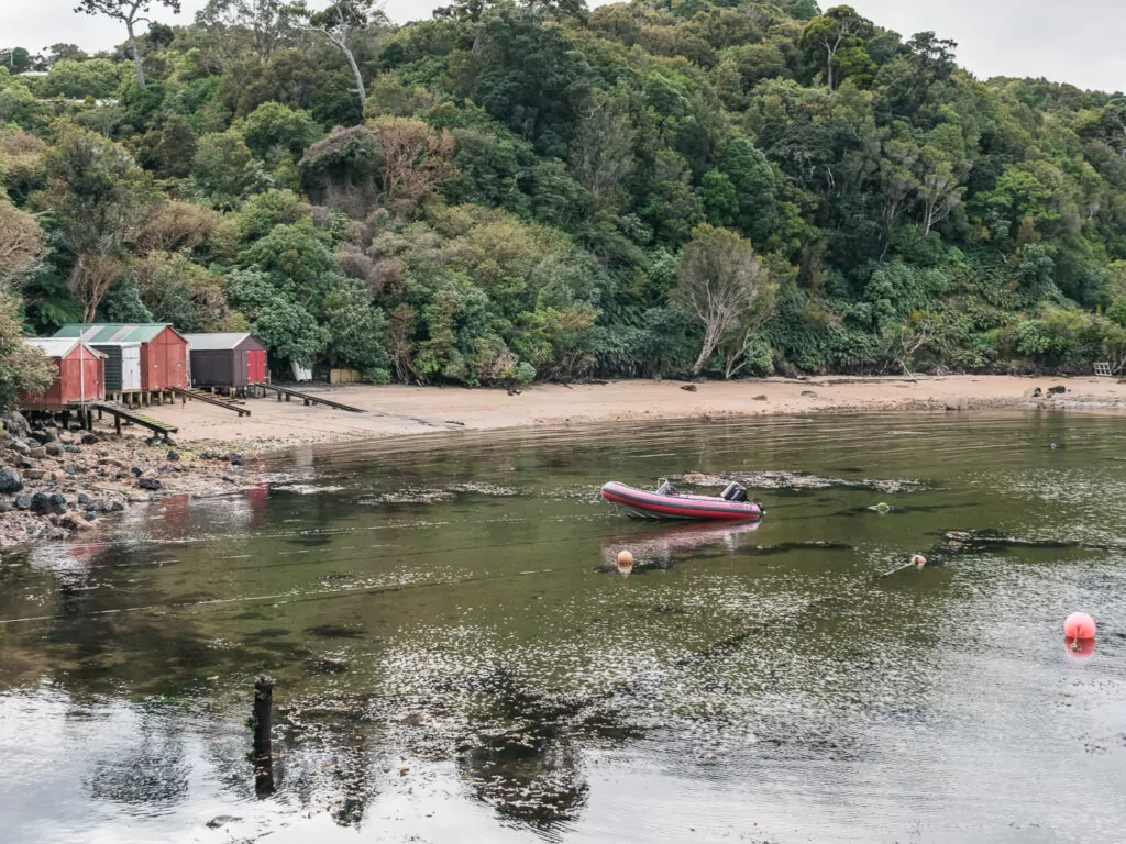Sheltered bay and jetty at Ulva Island surrounded by native forest and calm water, with a small boat moored nearby