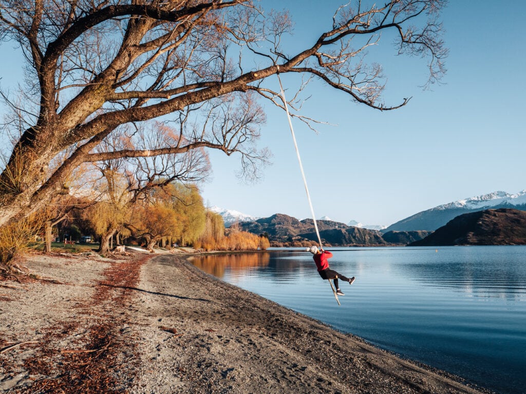Traveler swinging from a lakeside tree at Glendhu Bay with Lake Wānaka and mountains in the background on a South Island road trip itinerary