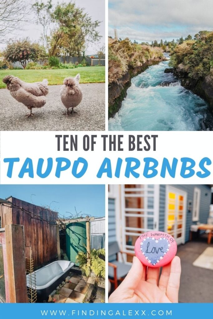 best taupo airbnbs
