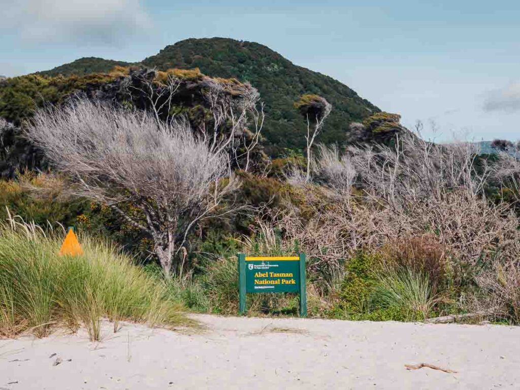 abel tasman national park awaroa beach