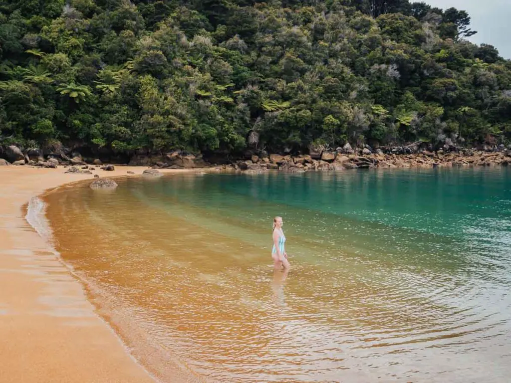 te pukatea bay best abel tasman beach