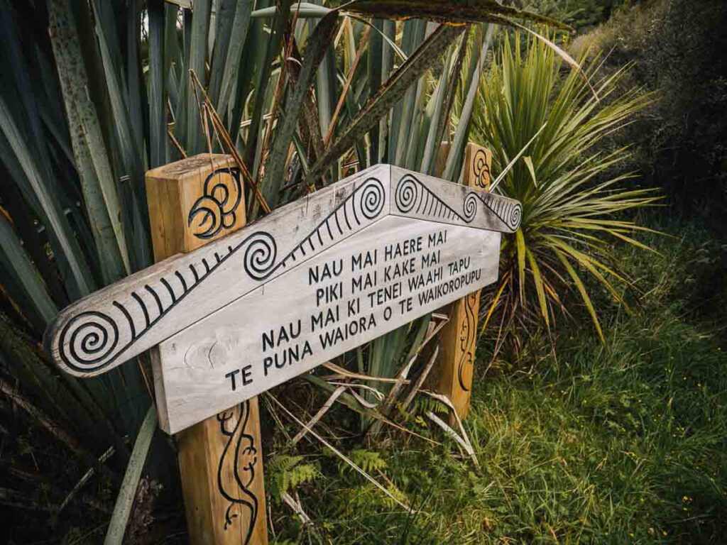 maori welcome at te waikoropupu spring