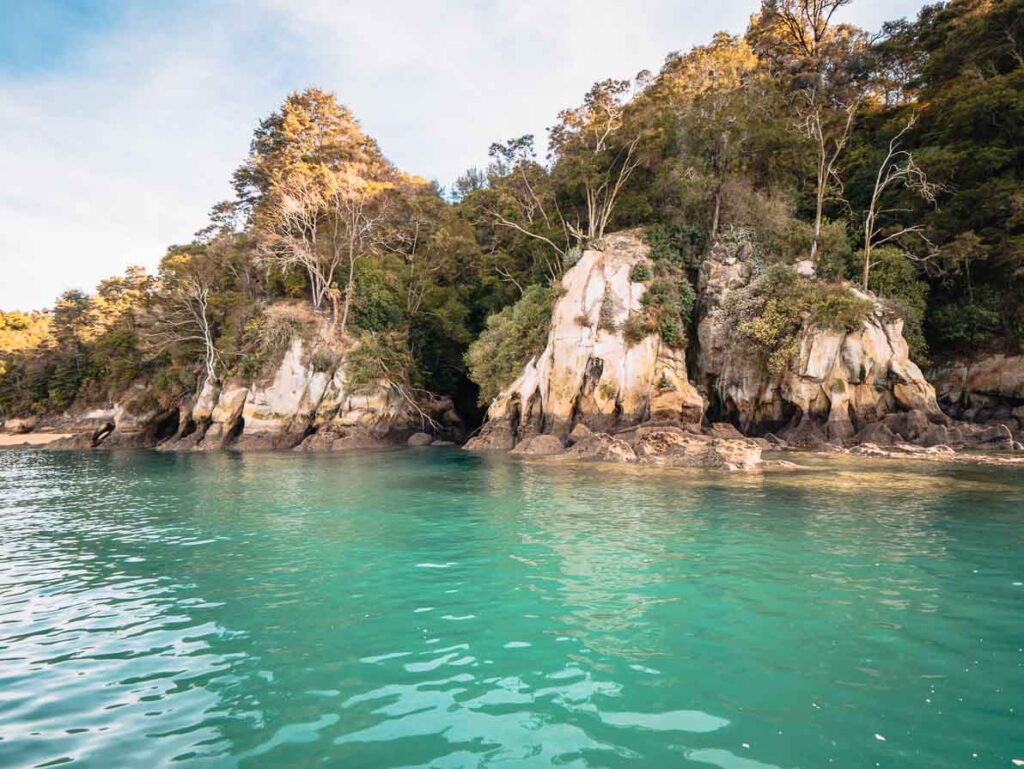 things to do in abel tasman boat tour