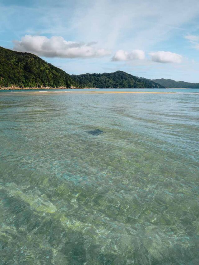 15 Epic Things to Do in Abel Tasman (With Prices