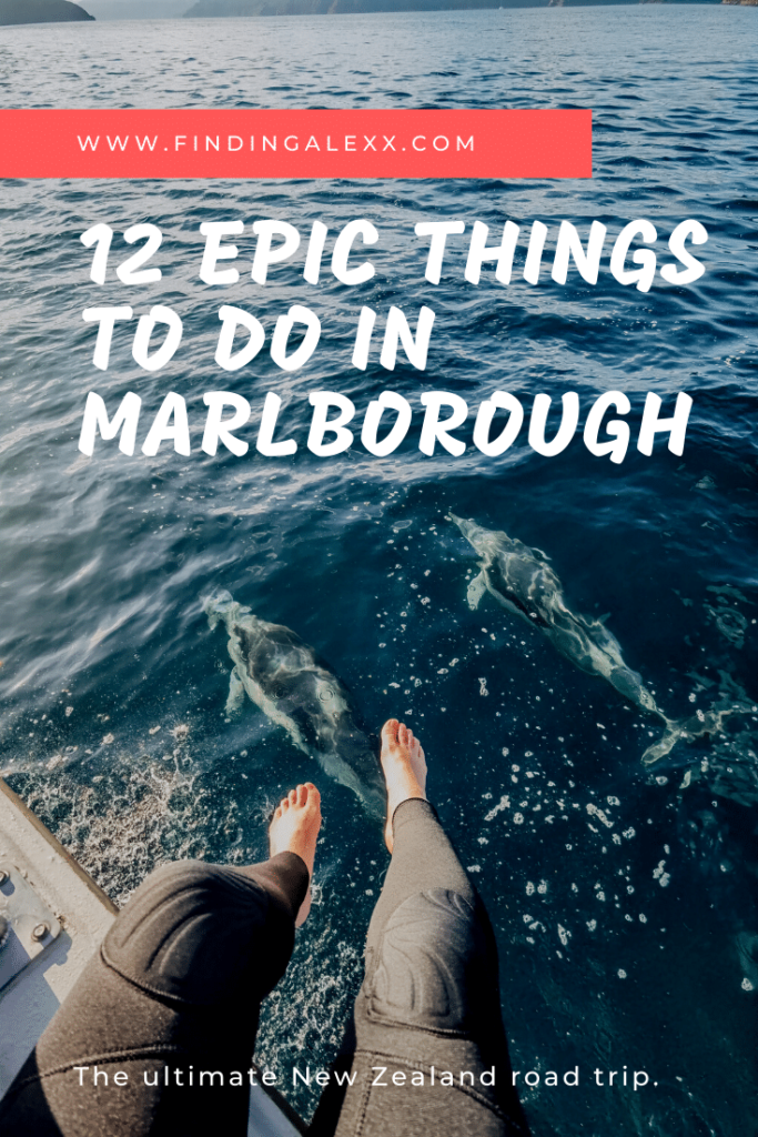 12 epic things to do in marlborough pin