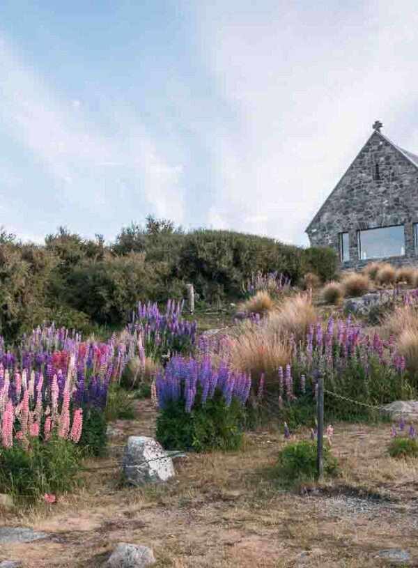 Queenstown to Christchurch Road Trip: The Ultimate Itinerary