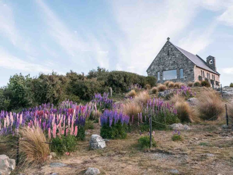 queenstown to christchurch road trip via tekapo