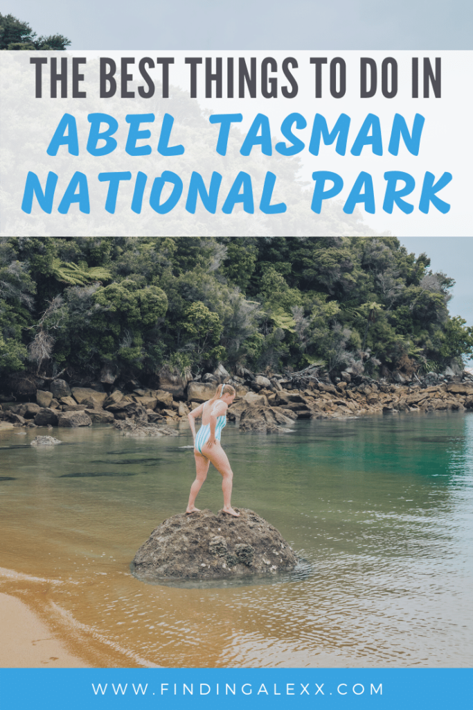 things to do in abel tasman pin