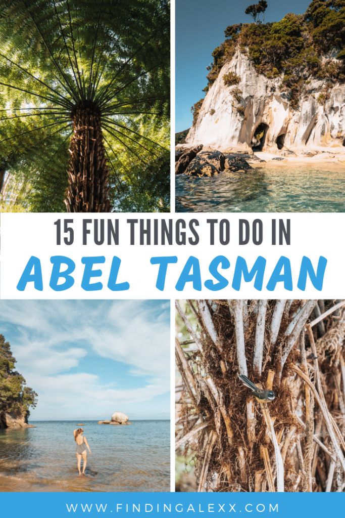 things tod o in abel tasman pin
