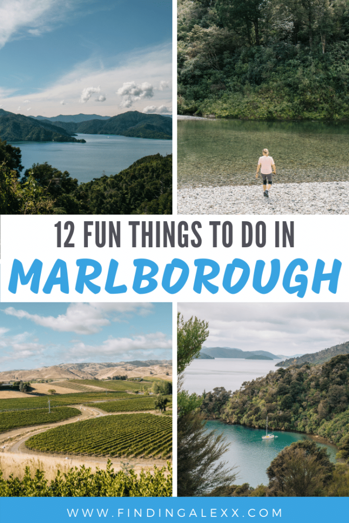 12 fun things to do in marlborough pin